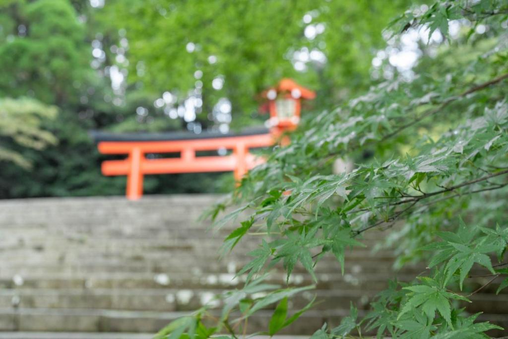 Kirishima Momijidani Seiryuso ryokan à Kagoshima Kirishima